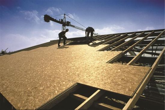 OSB PLATE, OSB3 ECO 12X2400X1220 TG2