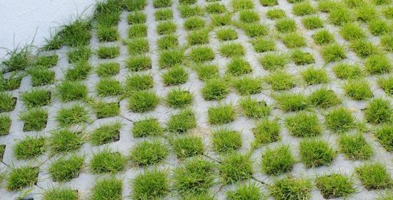 Gressarmeringsstein, belegningsstein, helle, 60 x 40 x 10 cm, grå, fra Aaltvedt