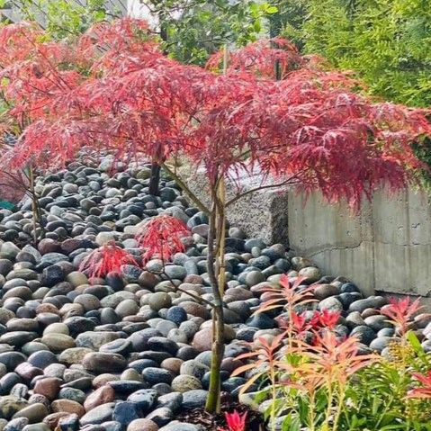 Elvestein 45-60mm vasket, 1000 kg storsekk