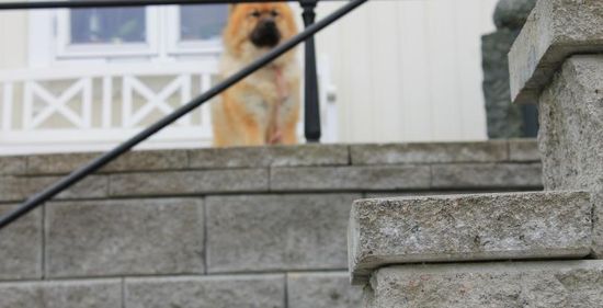 Knekt Støttemur, 1/1 stein, Grå, fra Aaltvedt