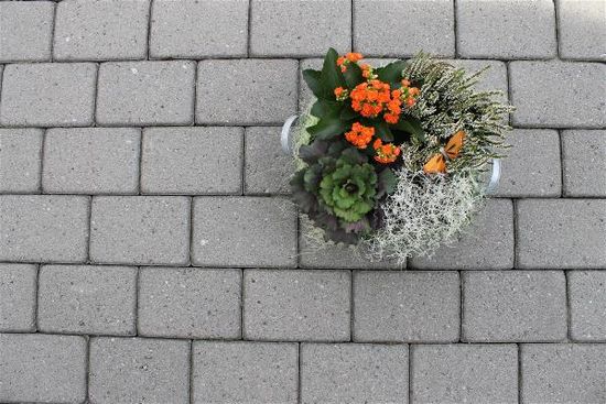 Kongsgård belegningsstein, 1/1 stein, 6 cm, Grå, fra Aaltvedt