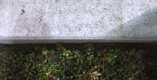 Kongsgård kantstein, grå, 49 cm lang, fra Aaltvedt