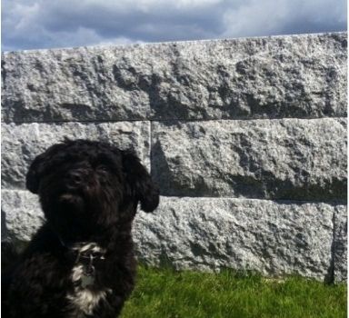 Granitt Murblokk 50x50 Kinesisk