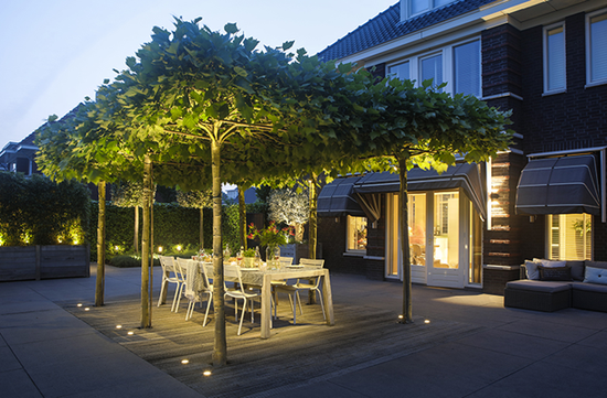 Utelampe, Flux 60 m/Ring 68, LED, fra In-lite 