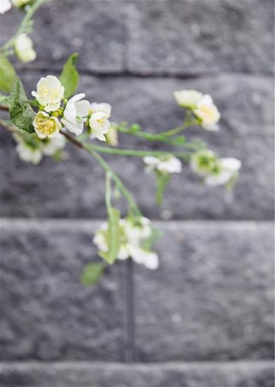 Vertica Mur, hjørnestein, 45 x 22,5 x 20 cm, Natur, fra Asak